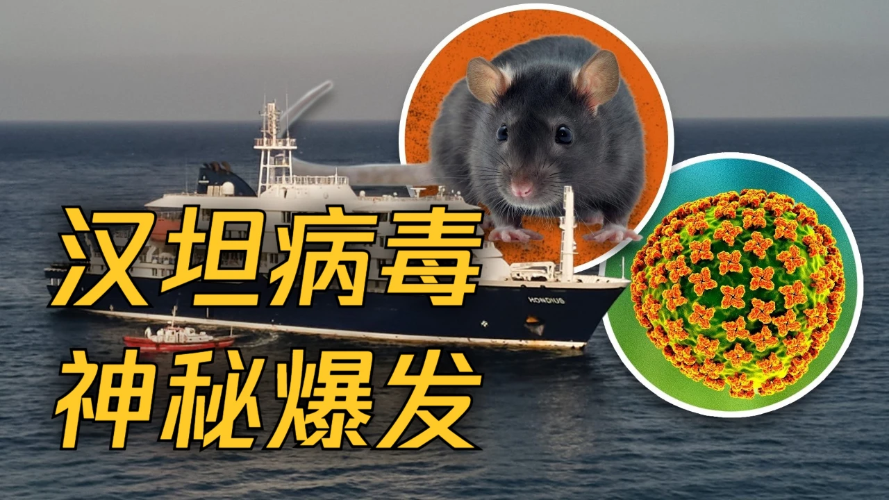 汉坦病毒没特效药，但"备解药"这件事本身值得想想